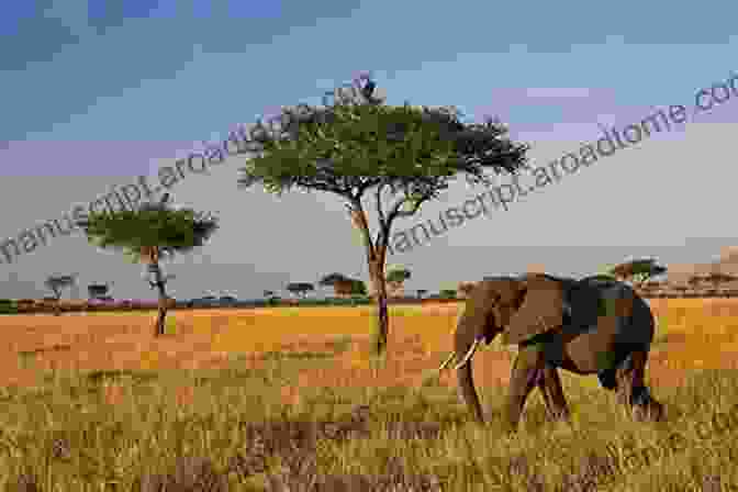 A Breathtaking View Of An African Savanna Introducing Africa (Introducing Continents) Chris Oxlade