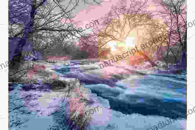 A Breathtaking Winter Landscape, Featuring Snow Covered Trees And A Frozen River Discover Nature In Winter (Discover Nature 6)