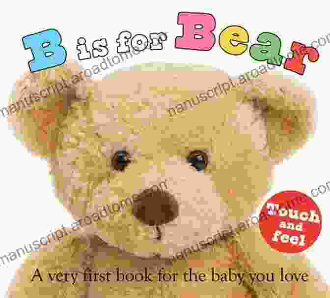 A Collection Of Sleeping Bear Alphabet Books, Featuring Vibrant Illustrations And Playful Rhymes. K Is For Kindergarten (Sleeping Bear Alphabet Books)