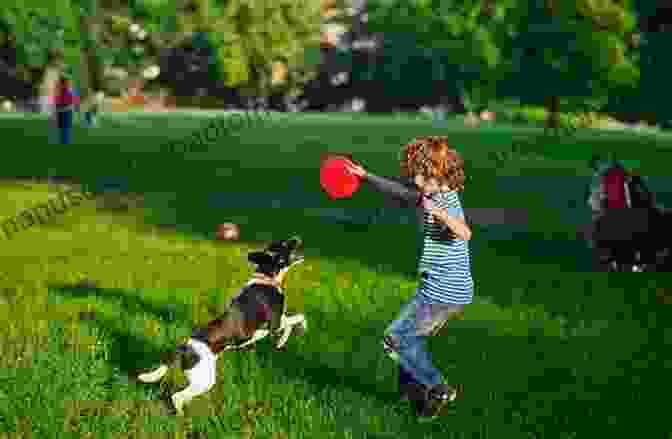 A Happy Dog Playing In The Park, Symbolizing The Unbounded Joy That Dogs Bring Into Our Lives. 100 Ways To Be As Happy As Your Dog