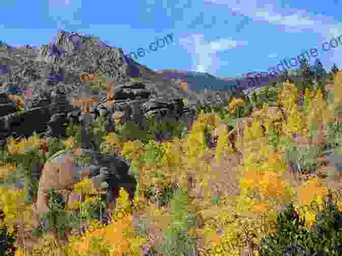 A Panoramic View Of The Lost Creek Wilderness, Showcasing Its Rugged Peaks, Verdant Meadows, And Sparkling Streams Lesser Known Fly Fishing Venues In South Park Colorado: Every Public Access In South Park Basin Outside Of The Dream Stream And Eleven Mile Canyon