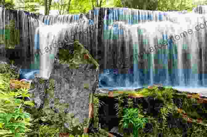 A Panoramic View Of The Majestic Alleghany Mountains, Verdant Forests Cascading Down Its Slopes, With Sunlight Breaking Through The Mist. Letters From The Alleghany Mountains