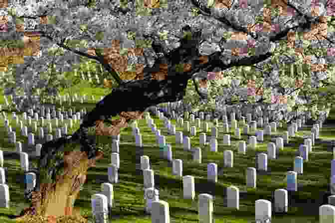 A Photograph Of Arlington National Cemetery Hidden History Of Arlington County