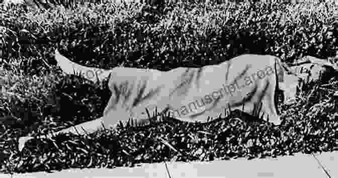 A Police Photograph Of Elizabeth Short, The Victim Of The Black Dahlia Murder, Showing Her Mutilated Body American Murder: Three True Crime Classics