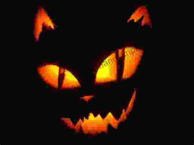 A Pumpkin Carved With The Face Of A Black Cat Black Cats And Evil Eyes: A Of Old Fashioned Superstitions