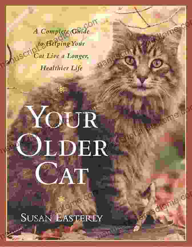 A Senior Cat Sitting On A Book Titled 'Healthy Pawsibilities For Your Older Cat'. Healthy PAWsibilities For Your Older Cat