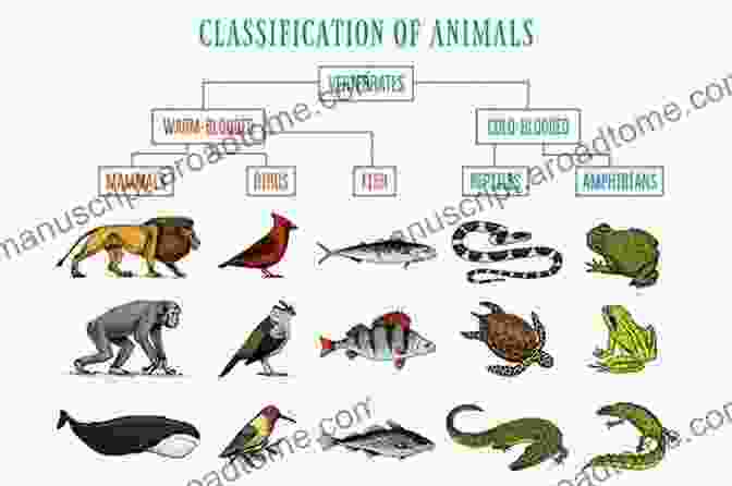 A Variety Of Creatures, Including A Bird, A Fish, A Reptile, And A Mammal Do You Know Where The Animals Live?: Discovering The Incredible Creatures All Around Us