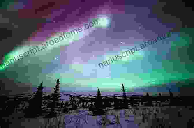 A Vibrant Display Of The Northern Lights Illuminating The Winter Sky, Casting A Mesmerizing Glow Over The Snowy Landscape Discover Nature In Winter (Discover Nature 6)