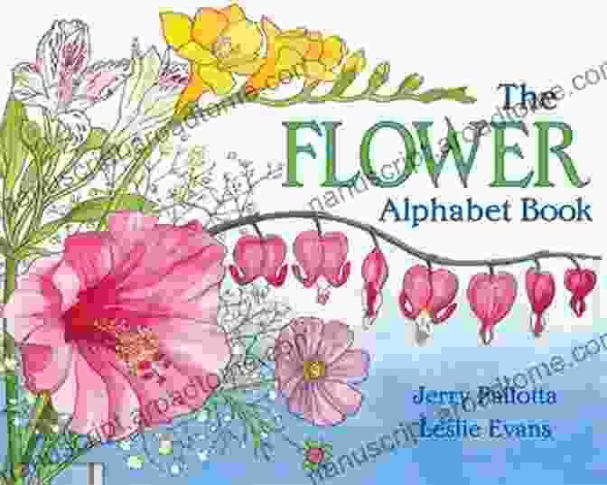 Blooms For Babies Floral Alphabet Book Cover With Vibrant Floral Illustrations Blooms For Babies: A Floral Alphabet