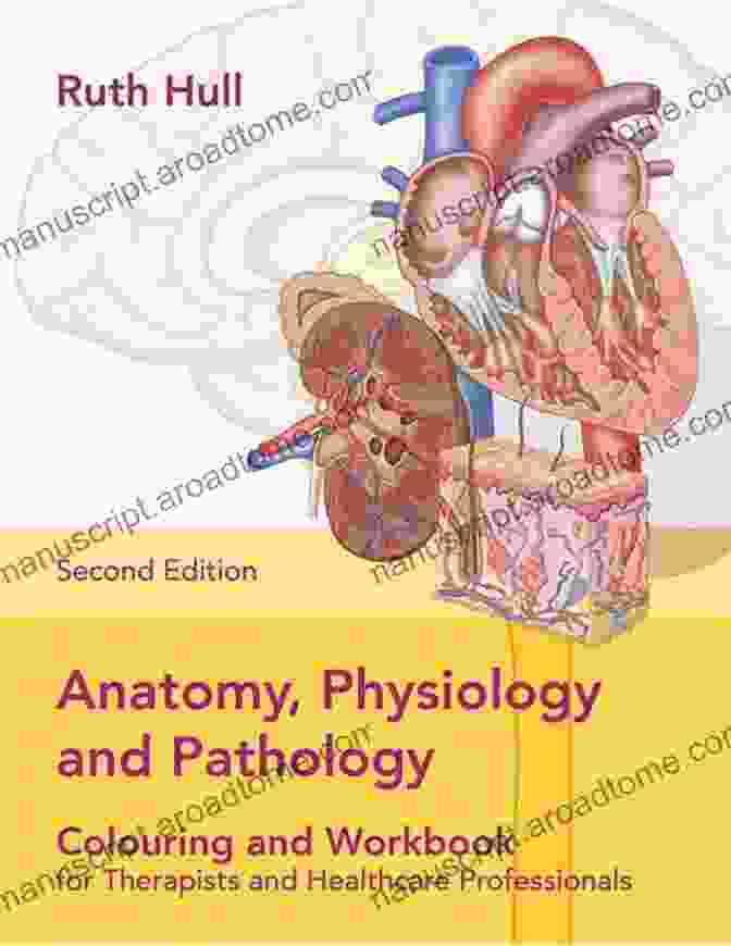 Book Cover Of Anatomy, Physiology, And Pathology For Therapists And Healthcare Professionals Anatomy Physiology And Pathology For Therapists And Healthcare Professionals