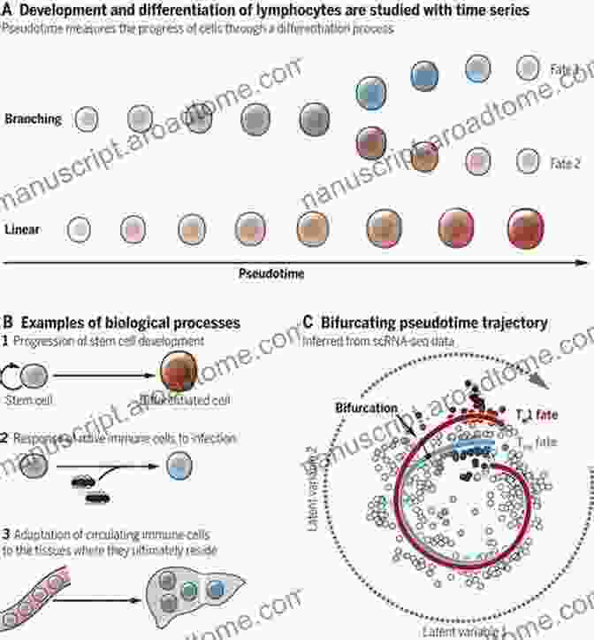 Book Cover: Transcriptomics In Health And Disease Transcriptomics In Health And Disease