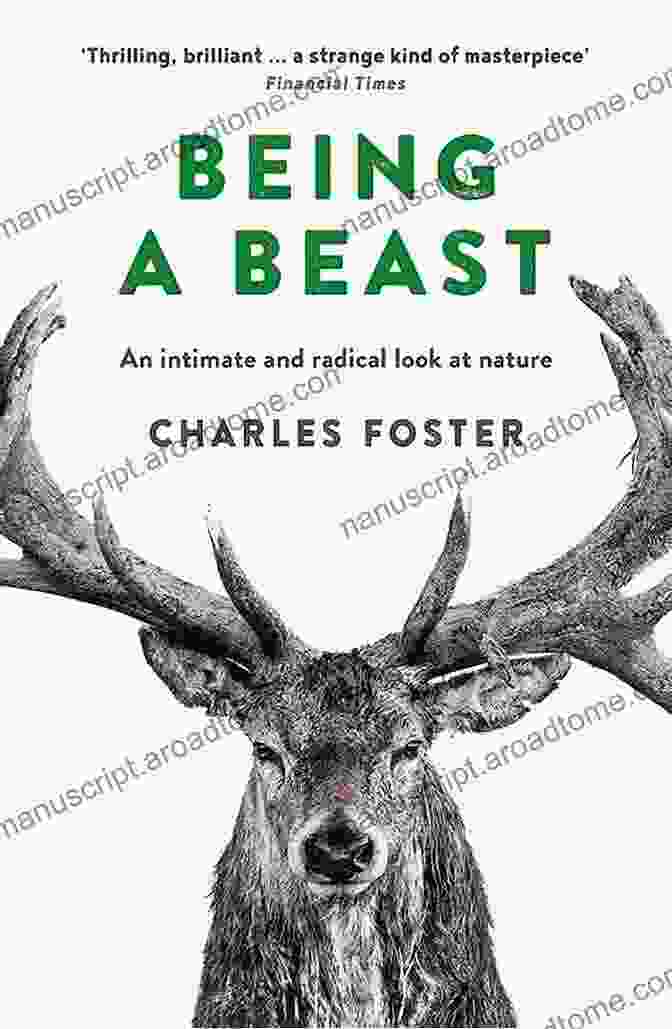 Charles Foster, Author Of Being Beast, Interacts With A Fox In A Woodland Setting. Being A Beast: Adventures Across The Species Divide