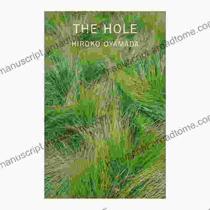 Cover Of 'The Hole' By Hiroko Oyamada The Hole Hiroko Oyamada