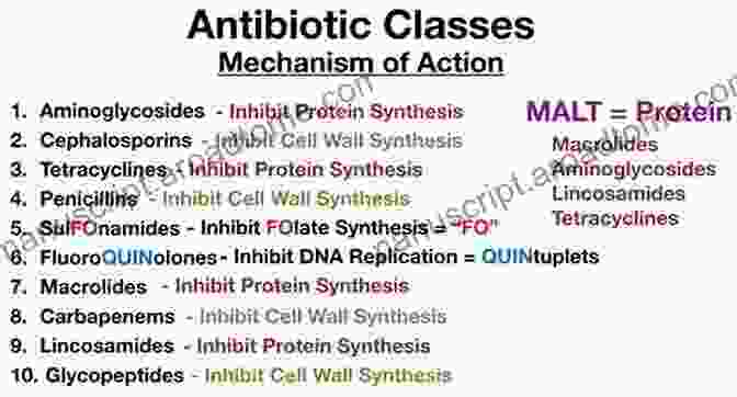 Diagram Illustrating The Different Drug Classes And Their Mechanisms Of Action. Basic Concepts In Pharmacology: What You Need To Know For Each Drug Class Fifth Edition