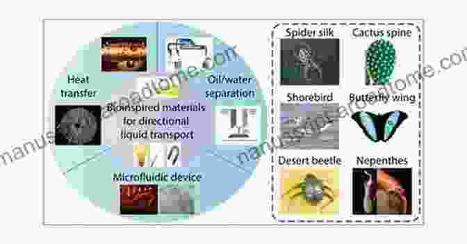 Examples Of Bioinspired Solutions Inspired By Soft Biological Materials Contact Problems For Soft Biological And Bioinspired Materials (Biologically Inspired Systems 15)