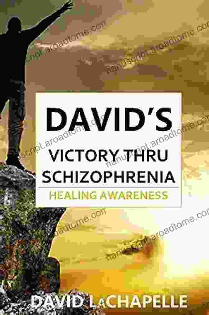 Insight Into Recovery: David Trilogy With Schizophrenia Book Cover David S Journey With Schizophrenia: Insight Into Recovery (David S Trilogy With Schizophrenia 2)