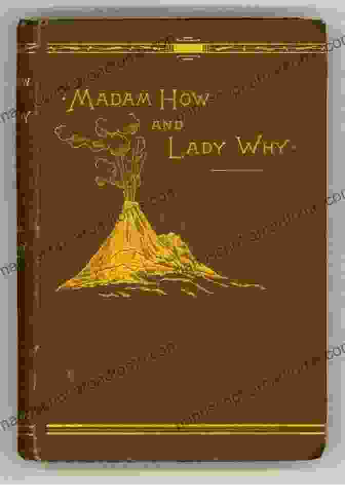 Madam How And Lady Why Book Cover With Two Characters Standing In A Field Of Flowers, Looking Up At The Sky With Wonder In Their Eyes. Madam How And Lady Why