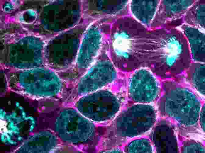 Microscopic View Of Oxygenated Cells, Glowing With Vitality 10 Keys To Unlocking Pain: Ways To Increase Oxygen Supply To Every Cell Of Your Body And Enable It To Heal