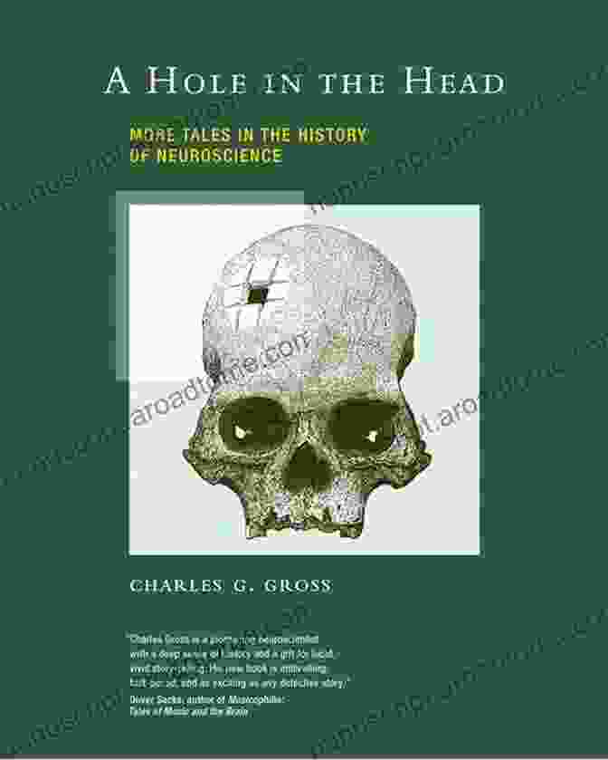 More Tales In The History Of Neuroscience: A Journey Through The Minds That Shaped Our Understanding A Hole In The Head: More Tales In The History Of Neuroscience