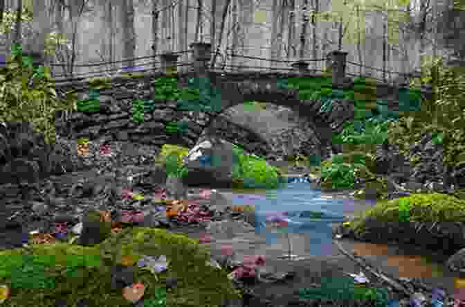 Overgrown Bridge With Moss Covered Arches After The Doomsday On Earth 3D Photos