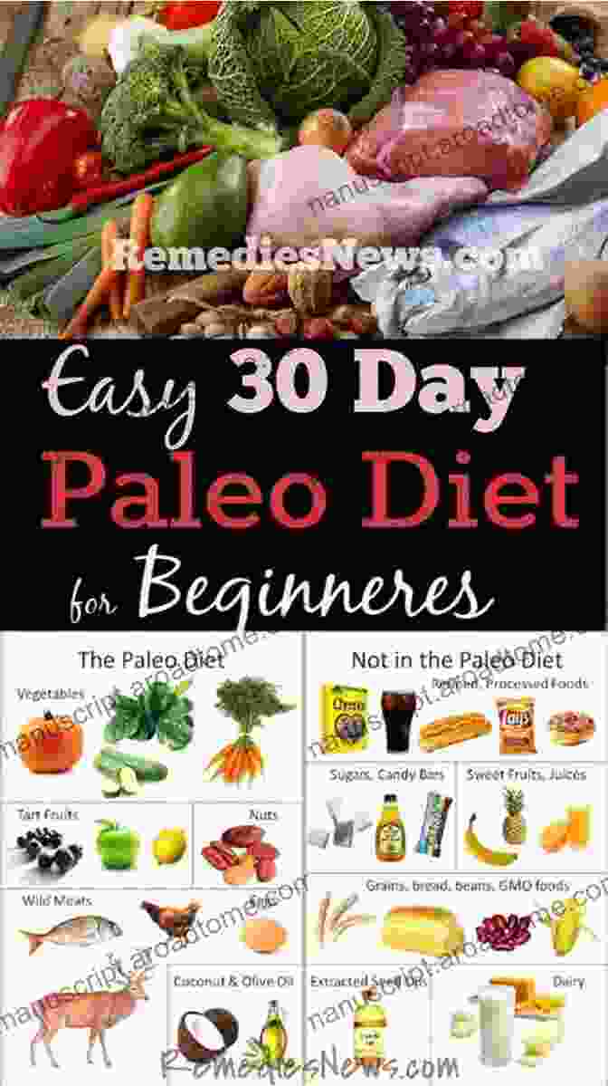 Paleo Breakfast Burrito Paleo Diet: 20 Modern Paleo Diet Recipes To Lose Weight For Beginners (paleo Diet For Beginners Paleo Diet Meal Plan Paleo Diet Cookbook)