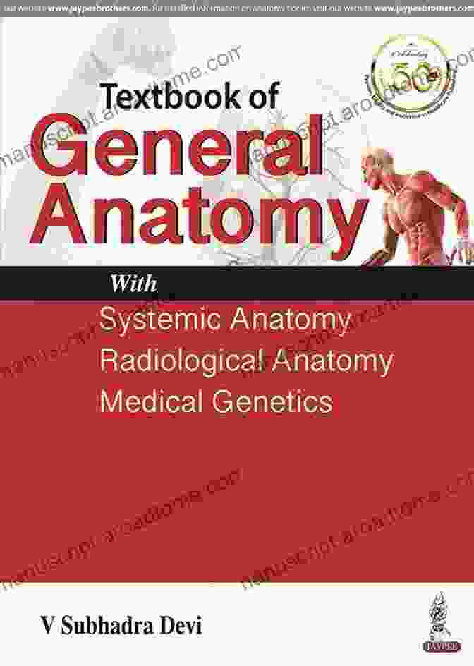 Radiological Anatomy Scan GENERAL ANATOMY Along With Systemic Anatomy Radiological Anatomy Medical Genetics