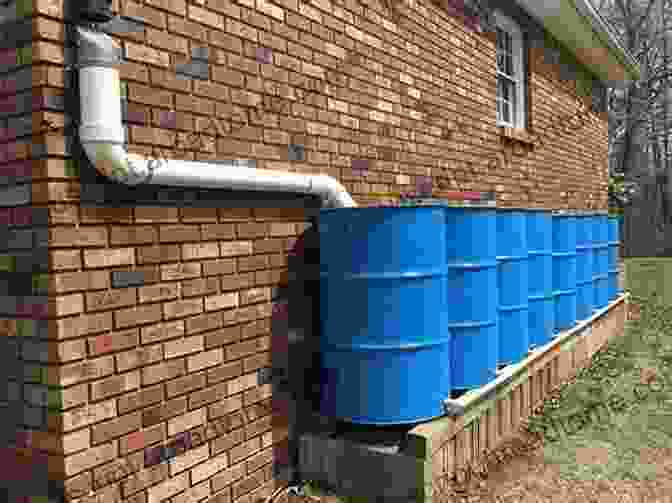 Rainwater Harvesting System With A Barrel The New Pallet Book: Ingenious DIY Projects For The Home Garden And Homestead