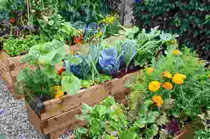 Raised Bed Garden With Lush Vegetables The New Pallet Book: Ingenious DIY Projects For The Home Garden And Homestead