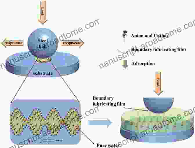 Schematic Illustration Of Lubrication Mechanisms In Soft Biological And Bioinspired Materials Contact Problems For Soft Biological And Bioinspired Materials (Biologically Inspired Systems 15)