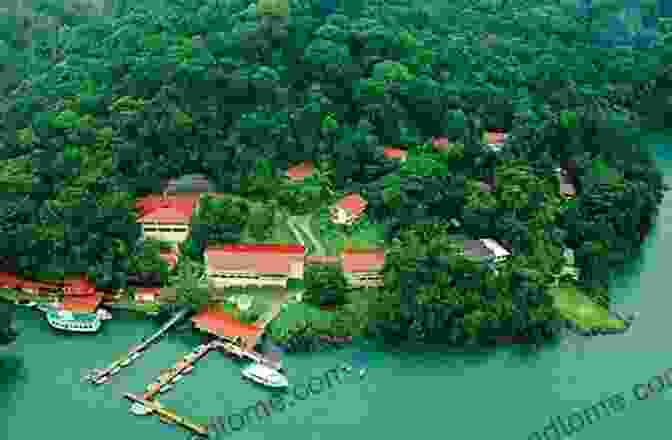 Scientists Conducting Research On Barro Colorado Island A Magic Web: The Tropical Forest Of Barro Colorado Island