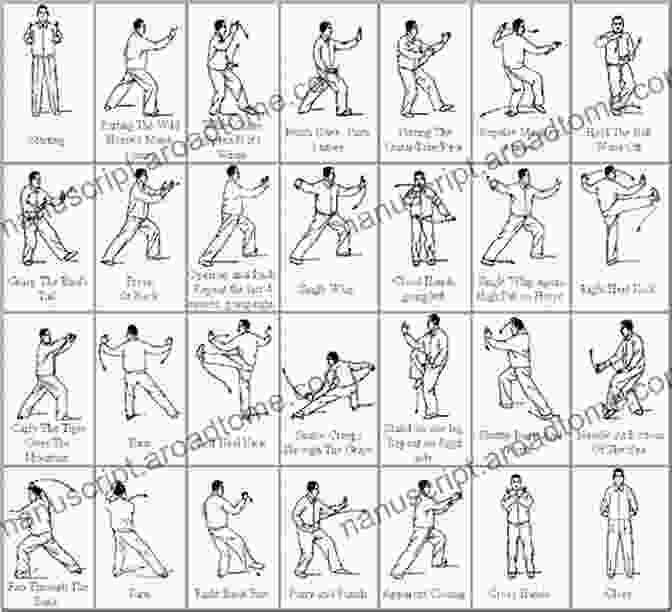 Tai Chi American Style Form Diagrams Illustrating The Movements Tai Chi American Style: A Simple And Effective Guide To A Healthy Life