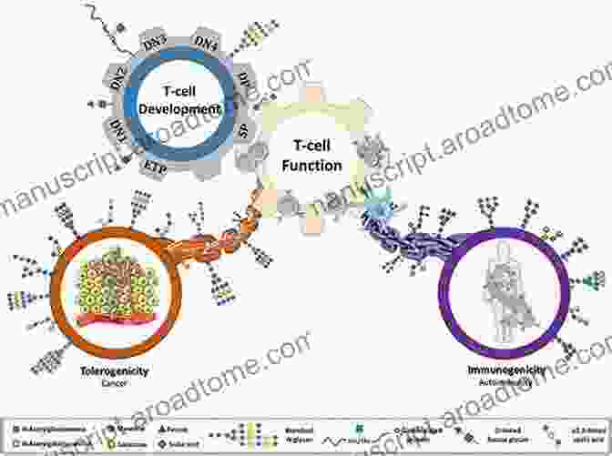 The Microbial Glycocode, Composed Of Diverse Glycan Structures, Plays A Vital Role In Immune Recognition. Glycobiology Of Innate Immunology Cheorl Ho Kim