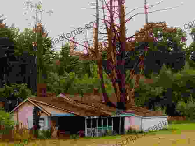 Tree Growing From A Shattered Building After The Doomsday On Earth 3D Photos