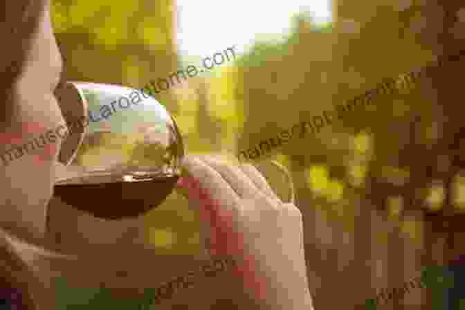 Two Women Tasting Wine At A Vineyard Are You My Wine?: A Children S Parody For Adults Exploring The World Of Wine