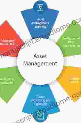 Asset Management: Tools And Issues