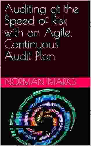 Auditing At The Speed Of Risk With An Agile Continuous Audit Plan