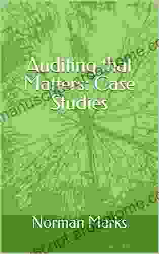 Auditing That Matters: Case Studies