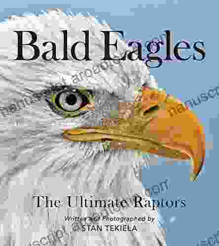 Bald Eagles: The Ultimate Raptors (Favorite Wildlife)