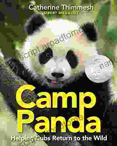 Camp Panda: Helping Cubs Return To The Wild