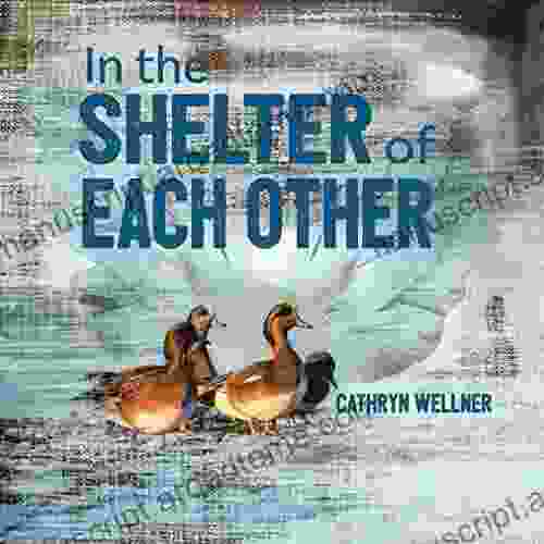 In The Shelter Of Each Other (Small Scale Stories 4)