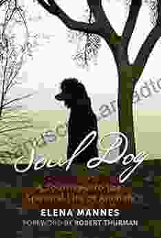 Soul Dog: A Journey Into The Spiritual Life Of Animals