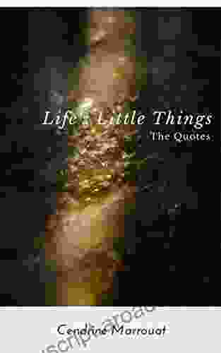 Life S Little Things: The Quotes