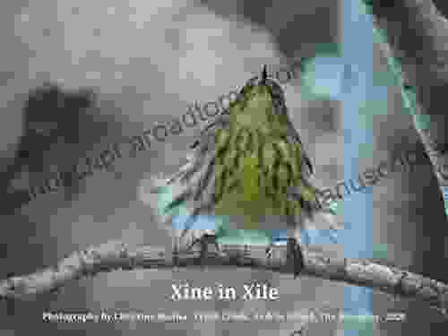 Xine In Xile: Photography By Christine Bisaha Fresh Creek Andros Island The Bahamas 2024