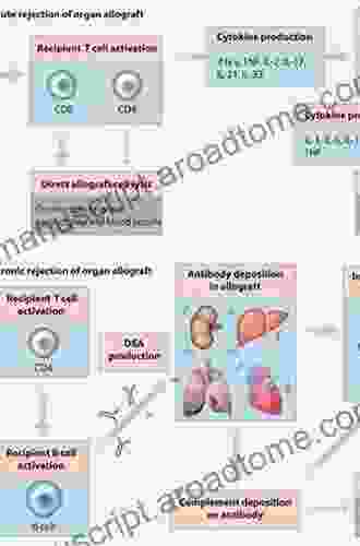 Pulmonary Considerations In Solid Organ And Hematopoietic Stem Cell Transplantation An Issue Of Clinics In Chest Medicine (The Clinics: Internal Medicine 38)