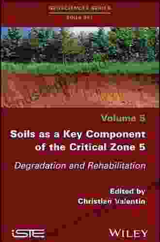 Soils As A Key Component Of The Critical Zone 6: Ecology (Geosciences Series: Soils Set)