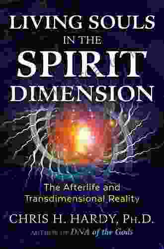 Living Souls In The Spirit Dimension: The Afterlife And Transdimensional Reality