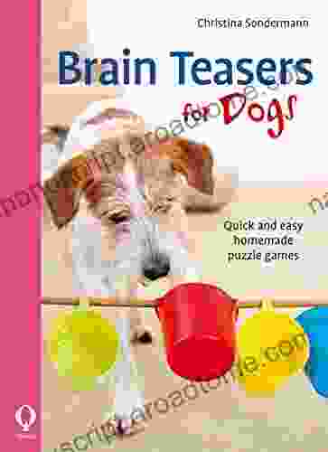 Brain Teasers For Dogs: Quick And Easy Homemade Puzzle Games