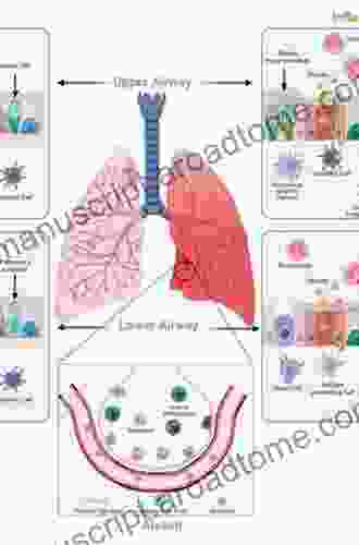 The War Within Us: Everyman S Guide To Infection And Immunity