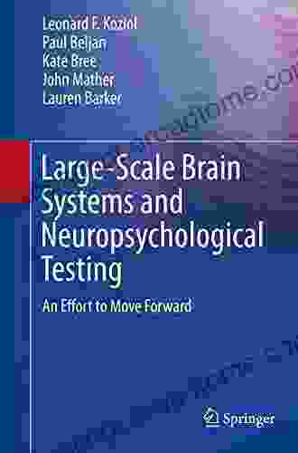 Large Scale Brain Systems and Neuropsychological Testing: An Effort to Move Forward (Springerbriefs in Neuroscience)