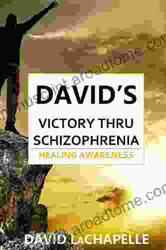 David S Victory Thru Schizophrenia: Healing Awareness (David S Trilogy With Schizophrenia 3)